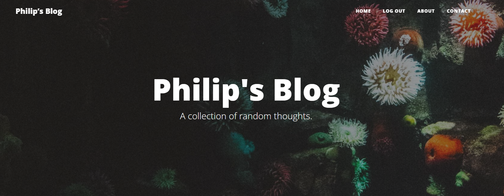 Philip's Blog